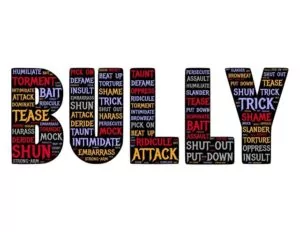 Bully Descriptions