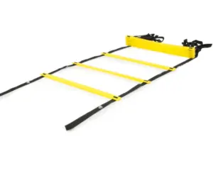 Agility Ladder- Getting Healthy and Staying Healthy littlemissblog.com