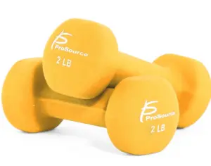 Light Weight Dumbbells littlemissblog.com