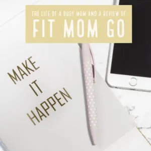 A Review Of Fit Mom Go, fitness for moms that is accessible, easy, and do-able. littlemissblog.com