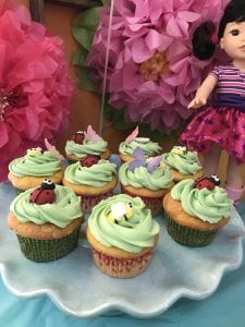 Wellie Wisher Theme Cupcakes with Lady Bugs and Bees