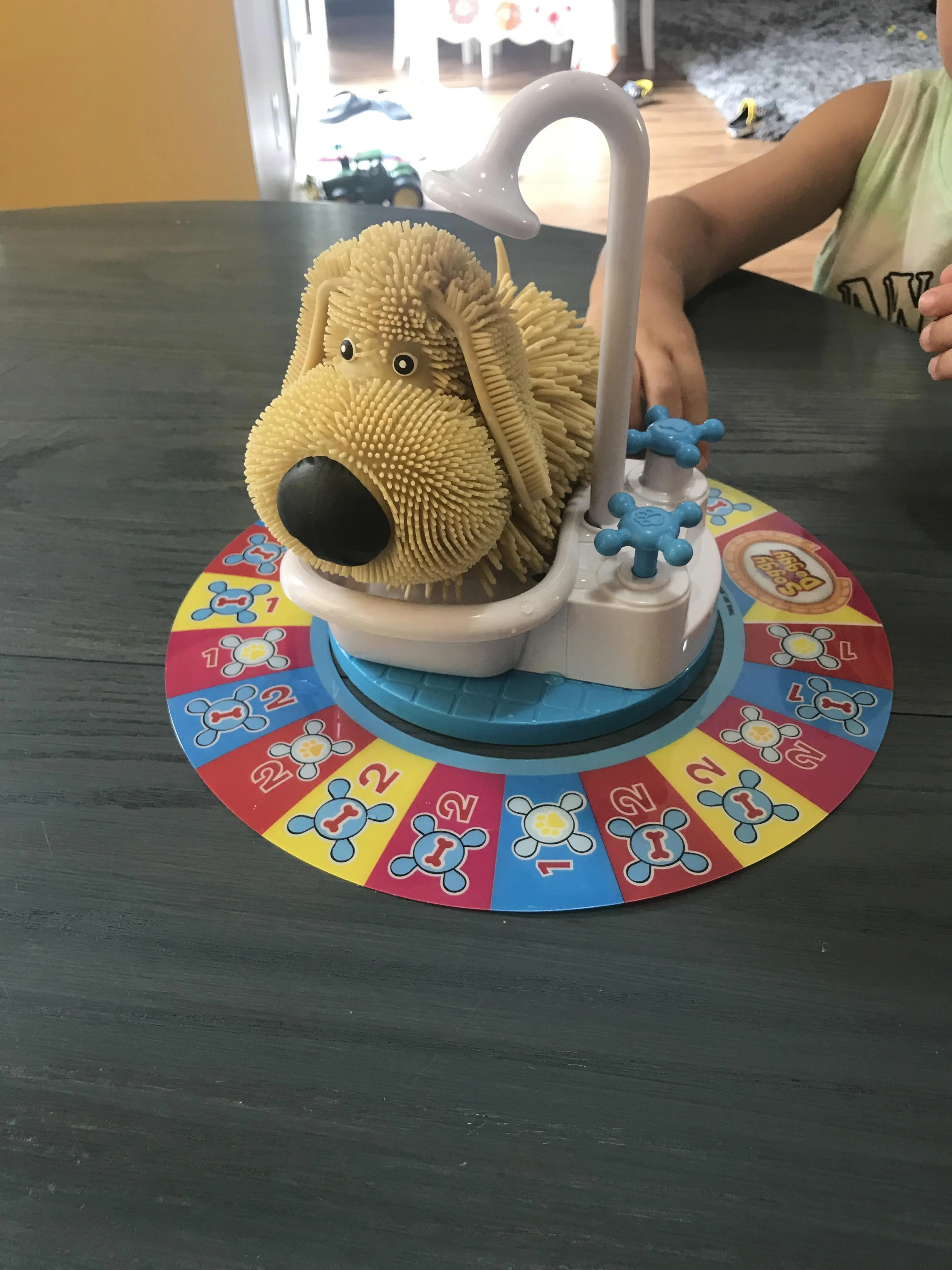 playing soggy doggy