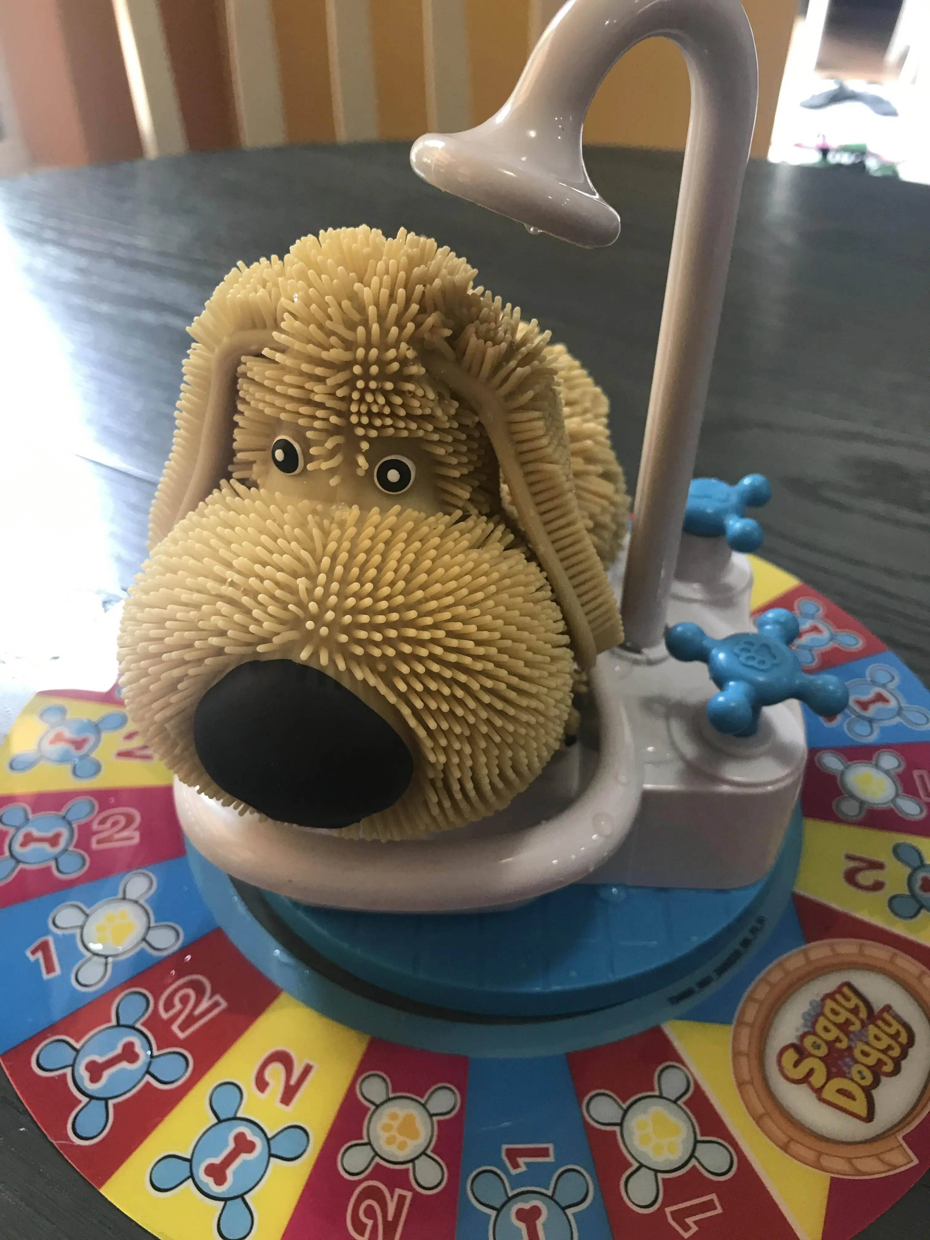 Soggy Doggy Game